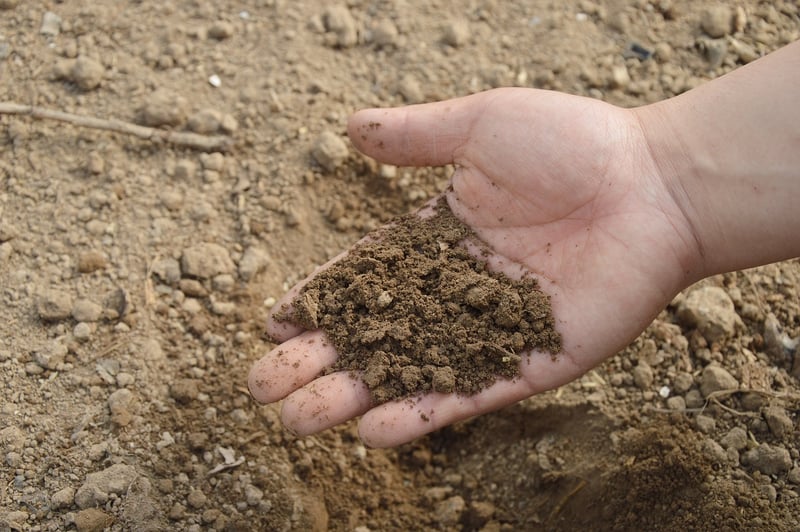 Community Compost Workshop
