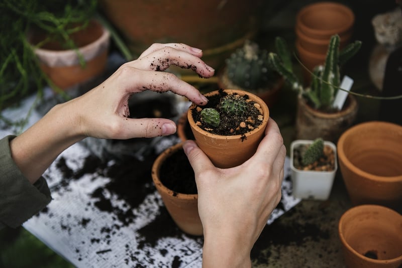 Connecting with Nature